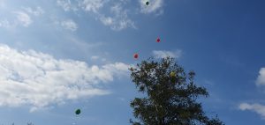foto wensballon in de lucht